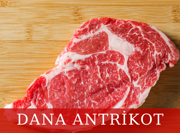 Dana Antrikot