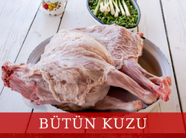 Bütün Kuzu